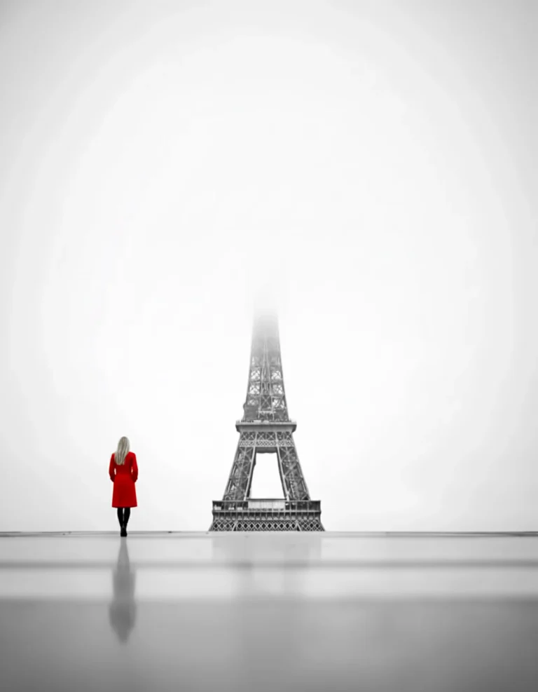 Paris in Fog