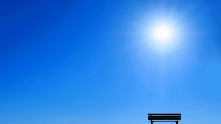 Emoty Bench